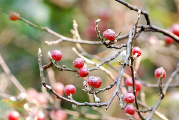 �A�L�O�~�i���j