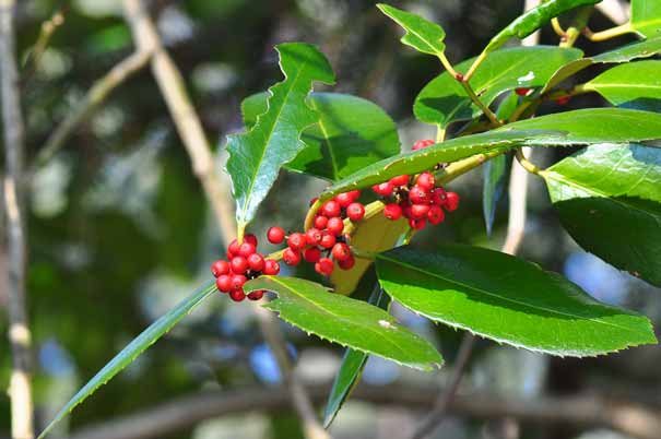 �^�����E�i���j