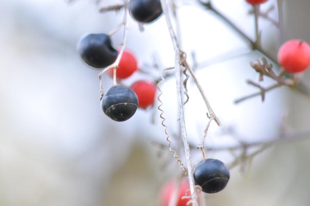 �A�}�`���d���i���j