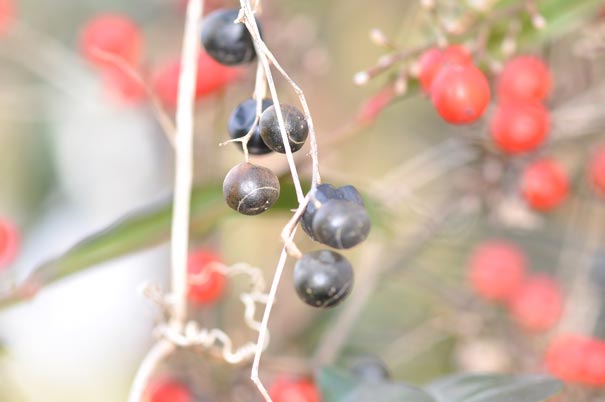 �A�}�`���d���i���j