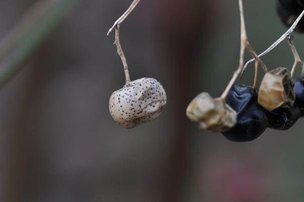 �A�}�`���d���i���j