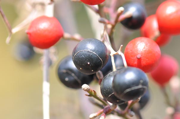 �A�}�`���d���i���j