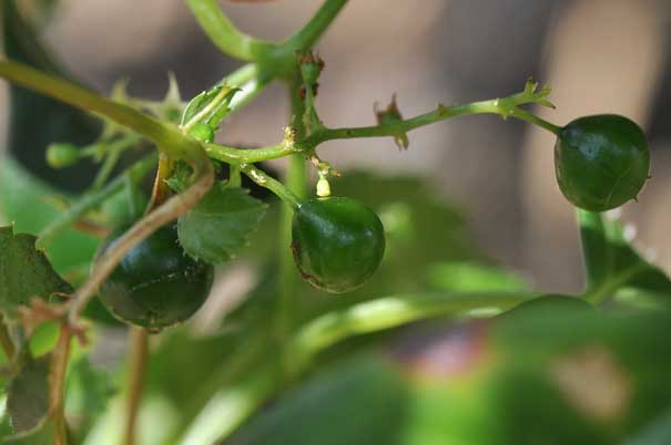 �A�}�`���d���i���j