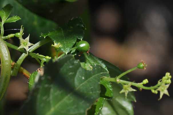 �A�}�`���d���i���j