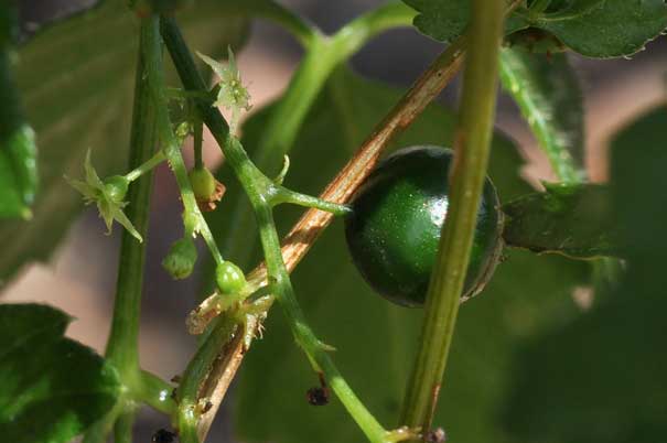 �A�}�`���d���i���j