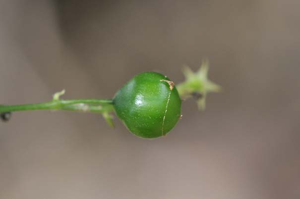 �A�}�`���d���i���j