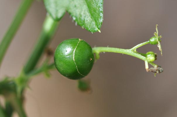 �A�}�`���d���i���j