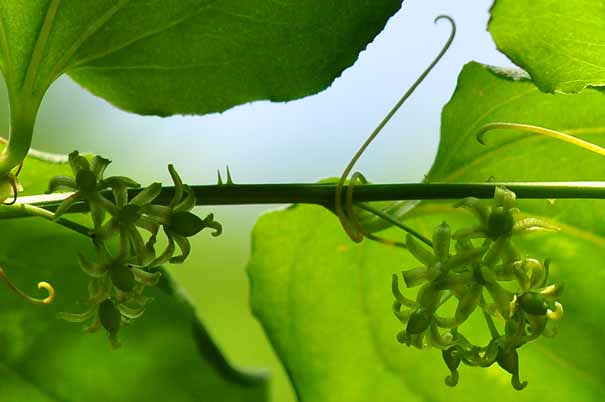 ���}�J�V���E(�����q�Q)