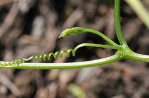 �A�}�`���d��