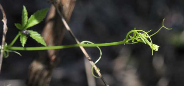 �A�}�`���d��