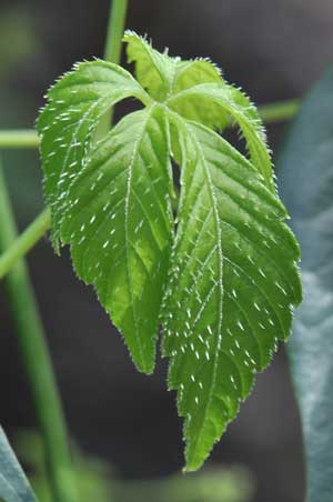 �A�}�`���d��