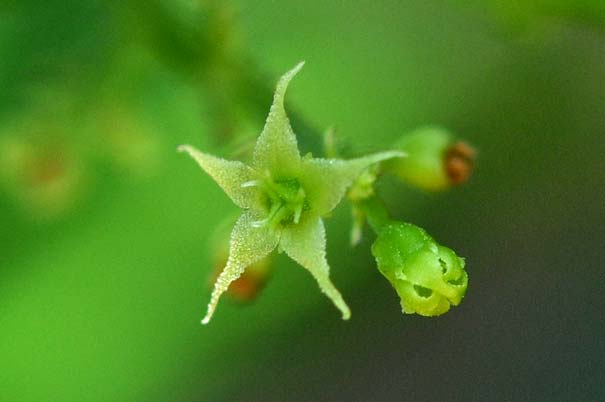 �A�}�`���d���i���ԁj