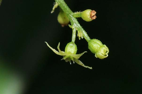 �A�}�`���d���i���ԁj