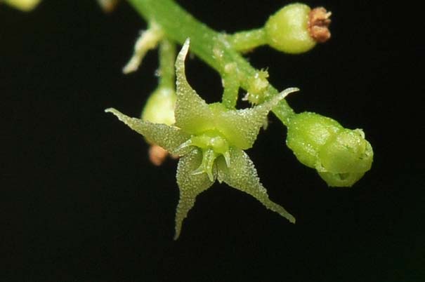 �A�}�`���d���i���ԁj