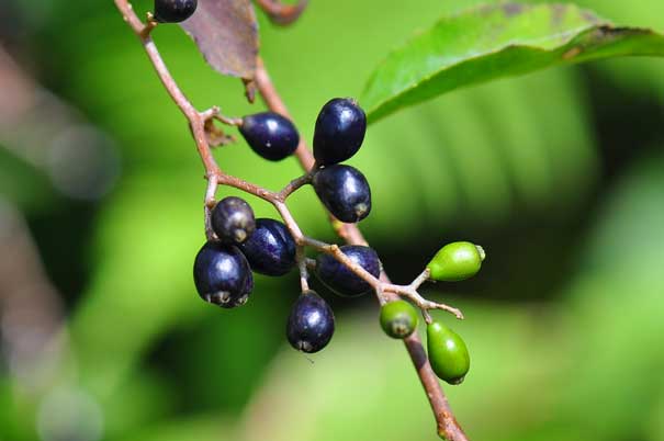 �^���i�T���t�^�M�i���j