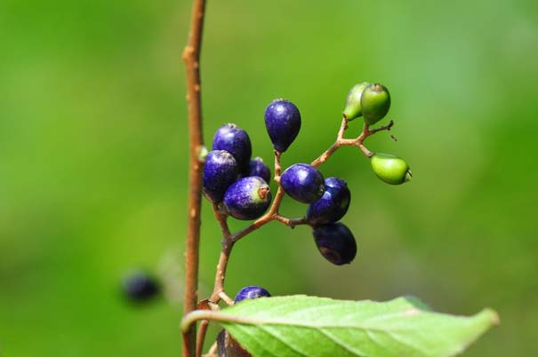 �^���i�T���t�^�M�i���j